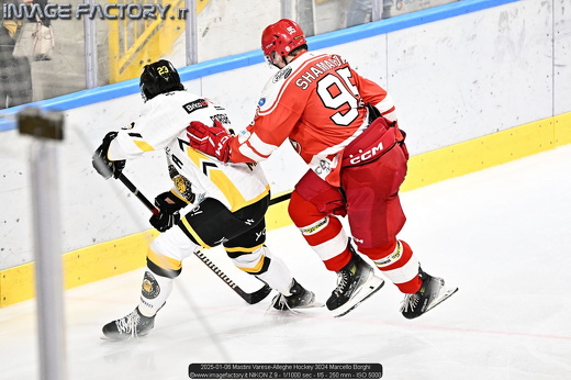2025-01-06 Mastini Varese-Alleghe Hockey 3024 Marcello Borghi